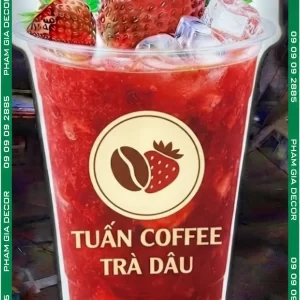hop de ly tra dau 2