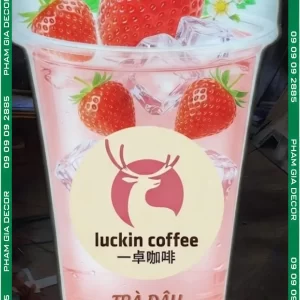 Hộp đèn ly trà dâu 11 hop de ly tra dau 7