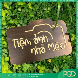 Lam bang hieu alu van go 9